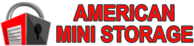 American Mini Storage